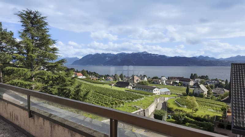 Rare! Bel appartement avec balcon et vue exceptionnelle (10)