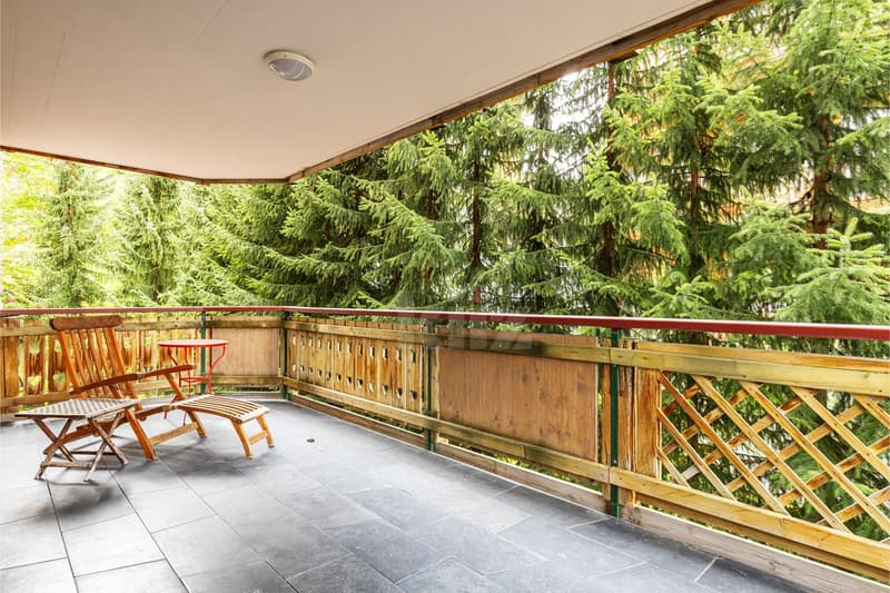Splendide appartement de haut-standing aux pieds des pistes (6)