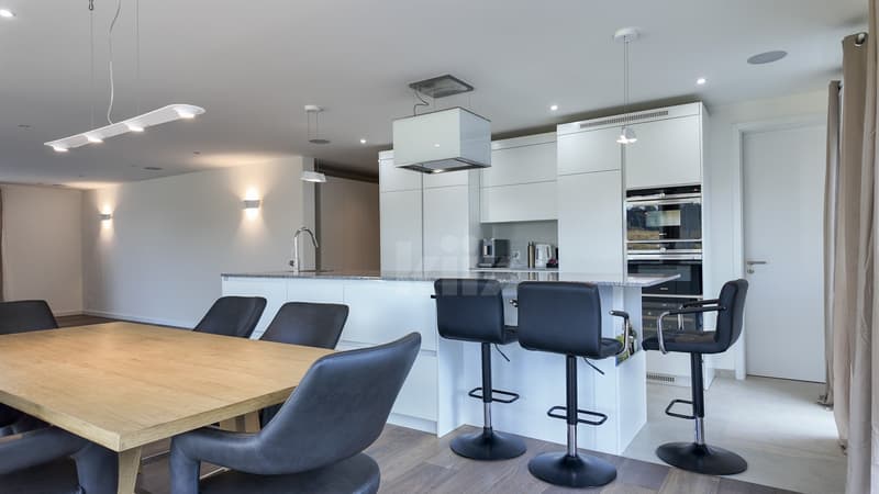 Superbe villa contemporaine de 250m2 aux finitions soignées (4)