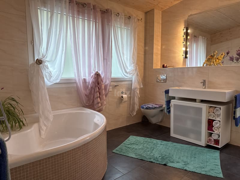Belle maison familiale avec jacuzzi et joli jardin (11)
