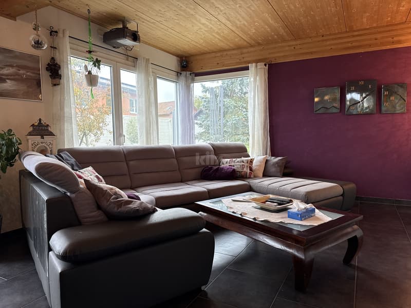 Belle maison familiale avec jacuzzi et joli jardin (4)