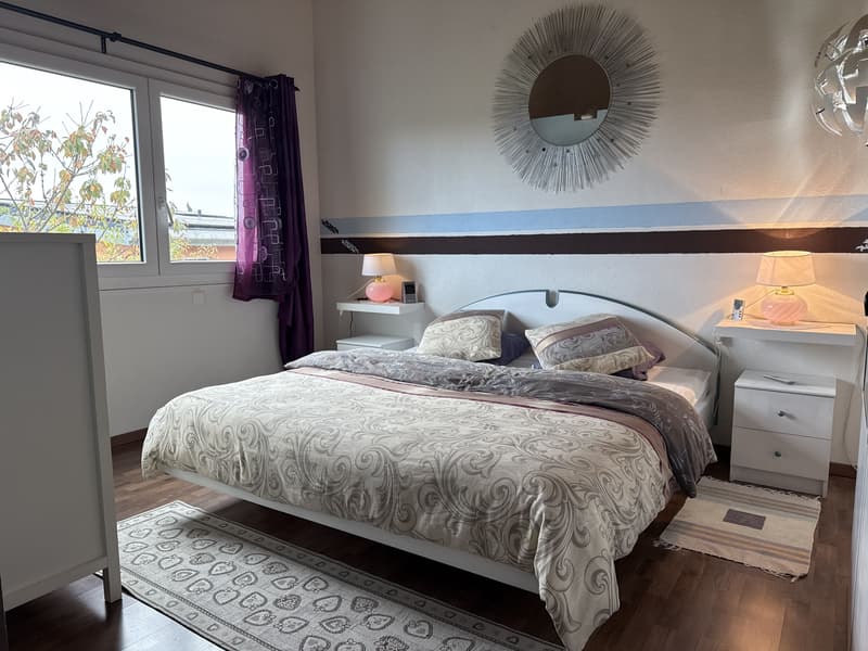 Belle maison familiale avec jacuzzi et joli jardin (7)