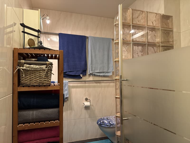 Belle maison familiale avec jacuzzi et joli jardin (6)