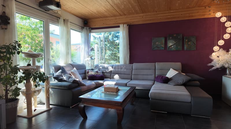 Belle maison familiale avec jacuzzi et joli jardin (2)