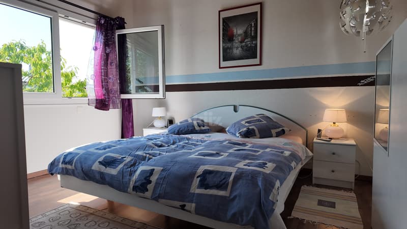 Belle maison familiale avec jacuzzi et joli jardin (7)