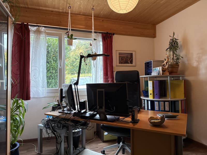 Belle maison familiale avec jacuzzi et joli jardin (5)