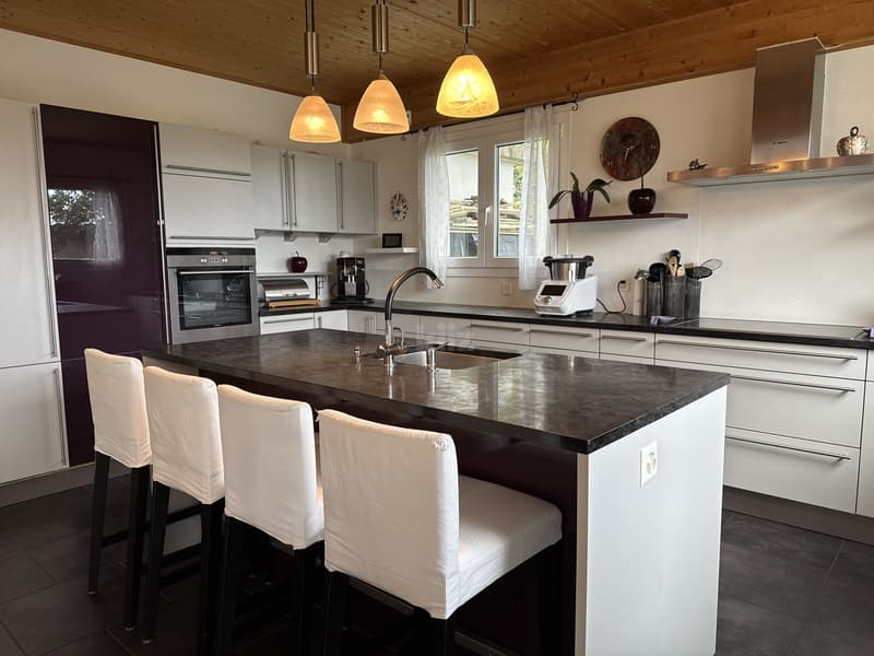 Belle maison familiale avec jacuzzi et joli jardin (3)