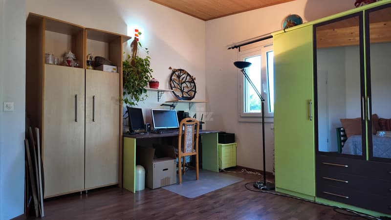 Belle maison familiale avec jacuzzi et joli jardin (11)
