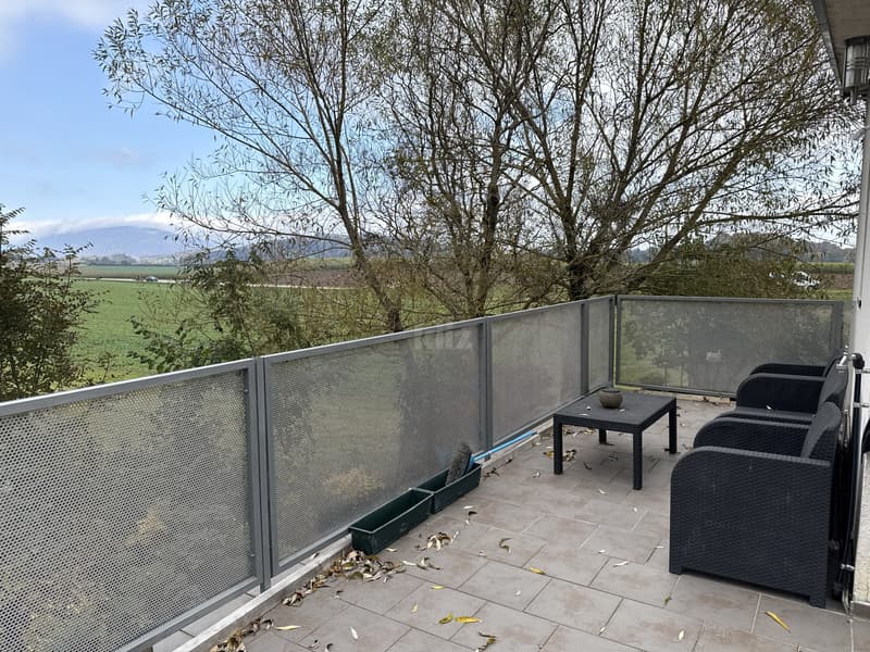Belle maison familiale avec jacuzzi et joli jardin (10)