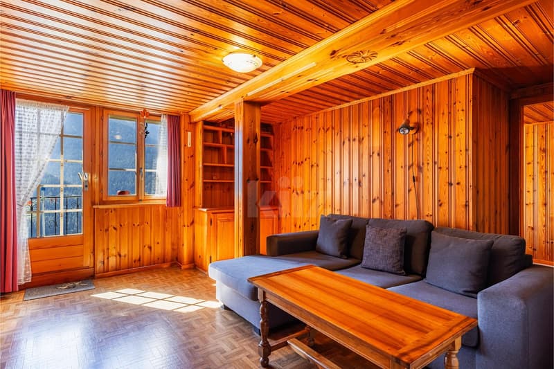 Authentique appartement orienté plein sud (3)