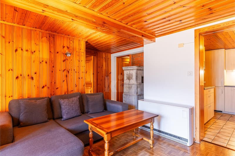 Authentique appartement orienté plein sud (5)