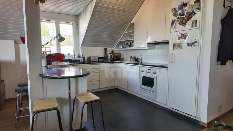 Rare! Bel appartement au centre-ville (4)