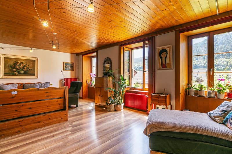 Belle maison avec jardin et potentiel d'aménagement (6)