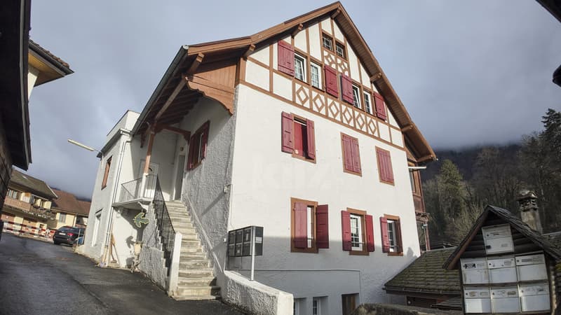 Ensemble immobilier mixte à fort potentiel (11)