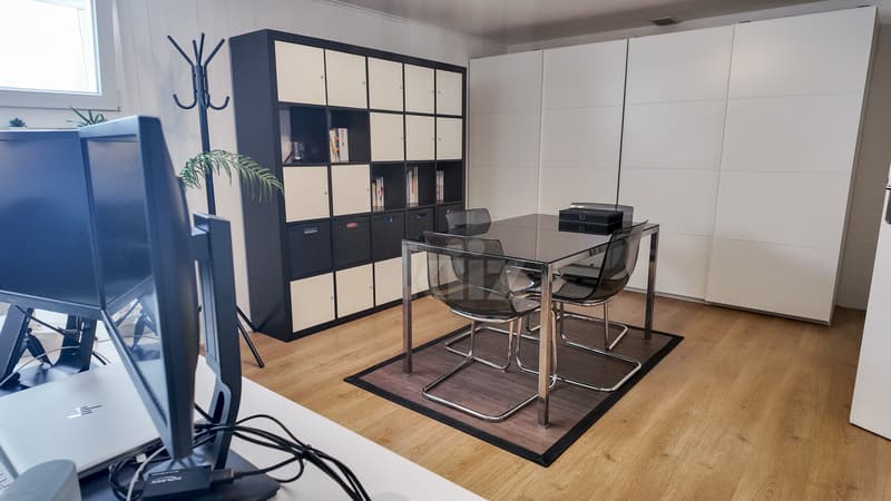 Magnifique maison mitoyenne entièrement rénovée (11)