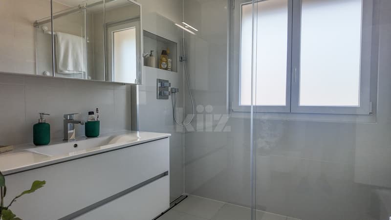 Magnifique maison mitoyenne entièrement rénovée (7)