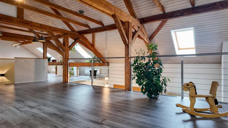 Spacious room with wooden ceiling, wooden floor, glass railing, potted plants, rocking horse