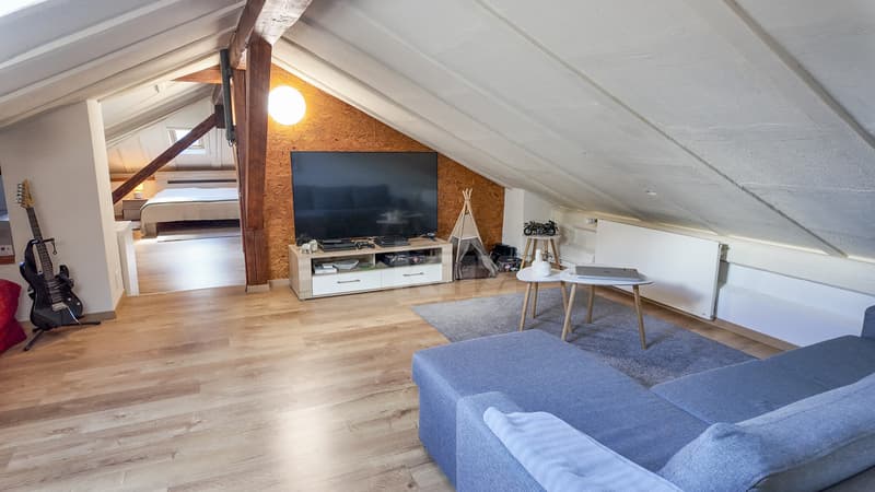 Belle maison rénovée avec appartement indépendant (7)