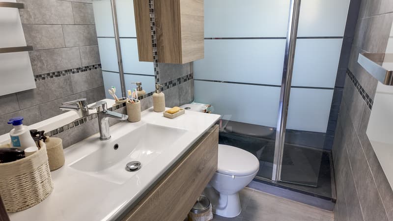 Belle maison rénovée avec appartement indépendant (8)