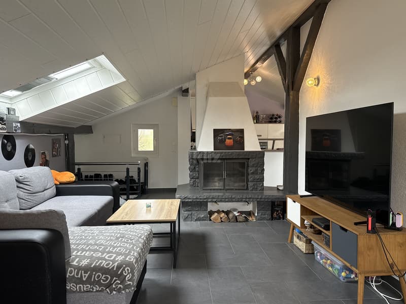 Charmante maison de 3 appartements avec jardin et piscine (8)