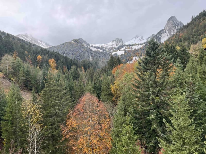 Studio idéal pour des séjours en montagne (11)
