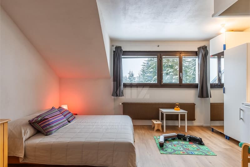 Studio idéal pour des séjours en montagne (2)