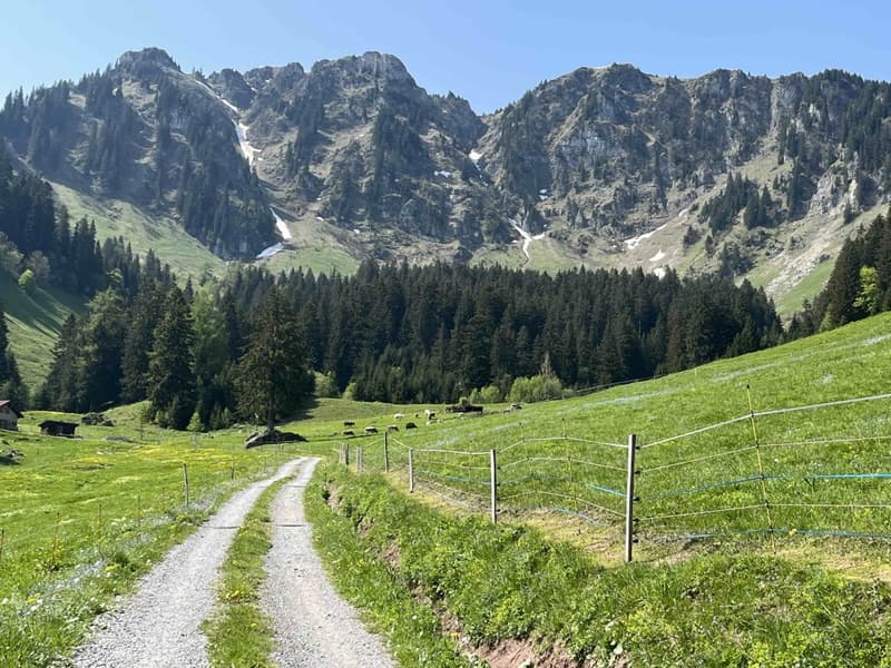 Studio idéal pour des séjours en montagne (12)