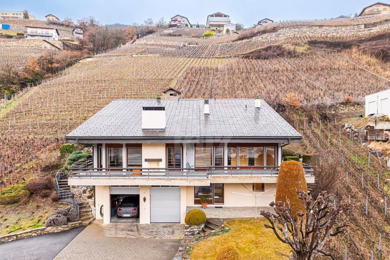 Magnifique villa individuelle avec studio indépendant (12)
