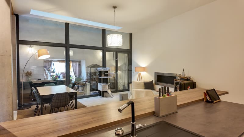 Splendide maison récente avec terrasses et jardin (2)