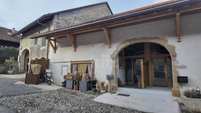 Splendide maison récente avec terrasses et jardin (12)