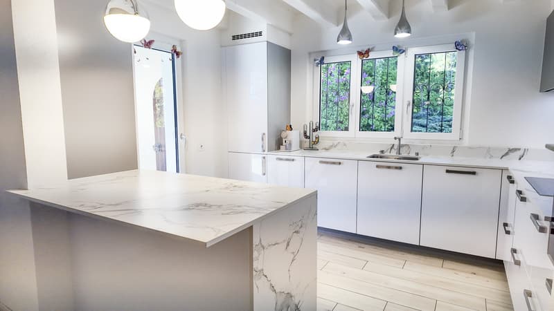 Charmante maison rénovée avec grand jardin (4)