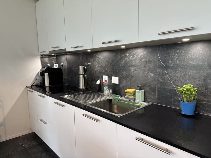 Magnifique appartement récent avec terrasse et grand jardin (2)
