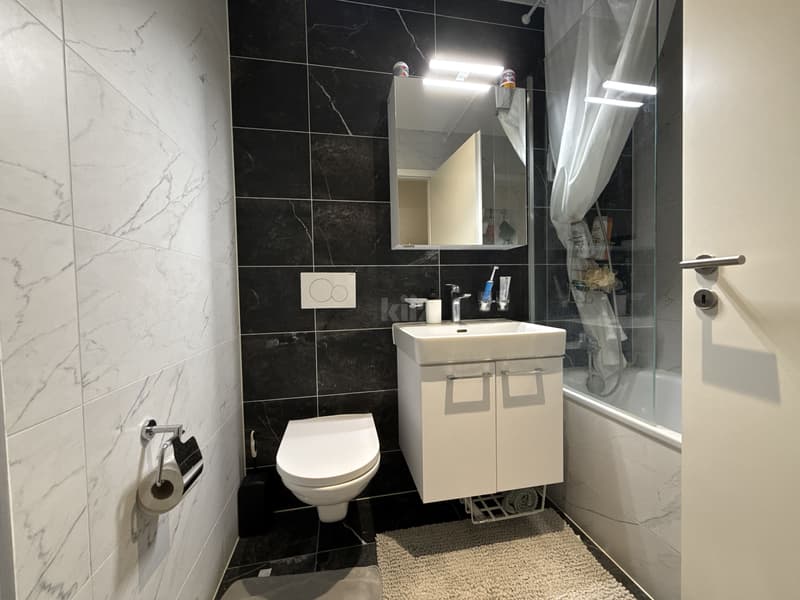 Magnifique appartement récent avec terrasse et grand jardin (6)