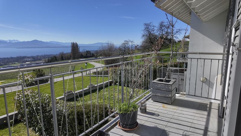 Splendide duplex récent avec grand balcon et vue panoramique (2)
