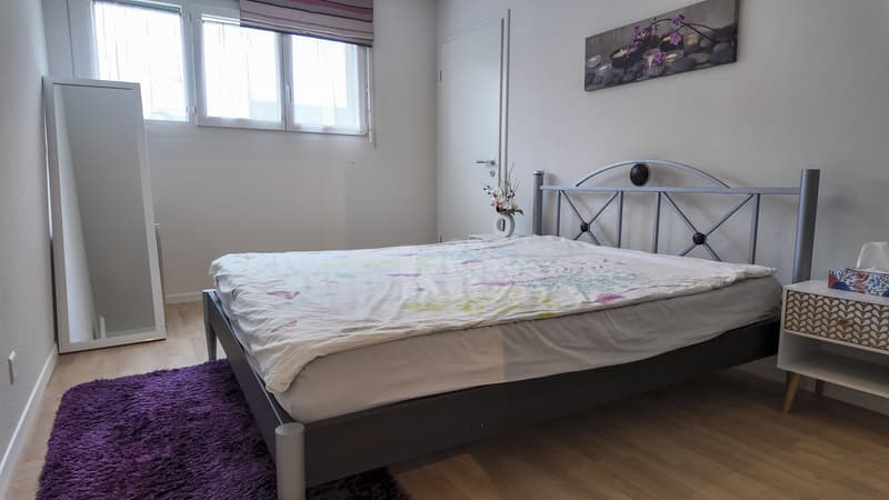 Bel appartement récent avec grand balcon (7)