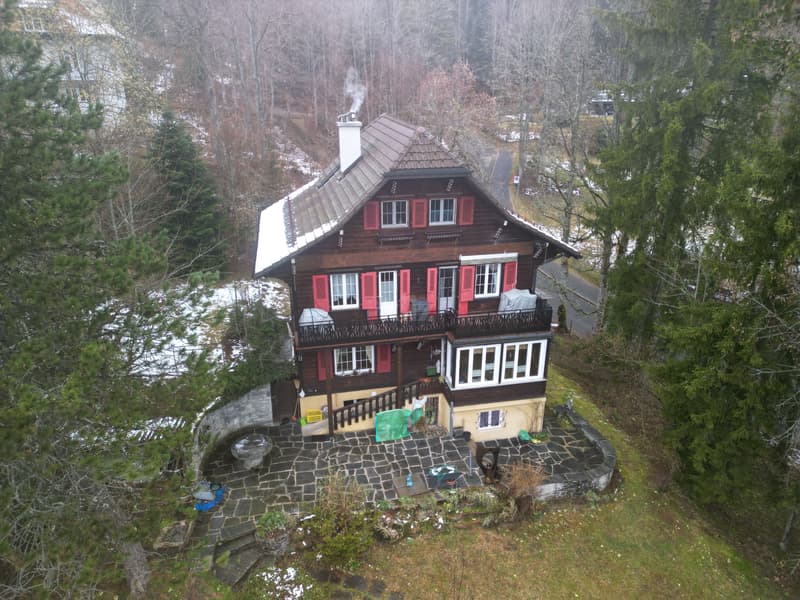 Charmante maison de deux appartements avec jardin (12)