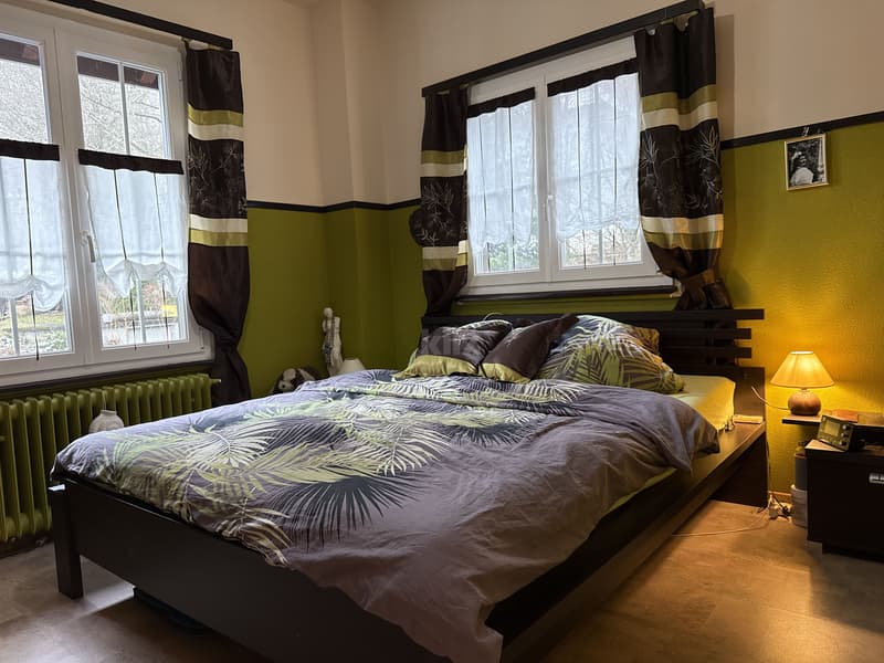 Charmante maison de deux appartements avec jardin (5)