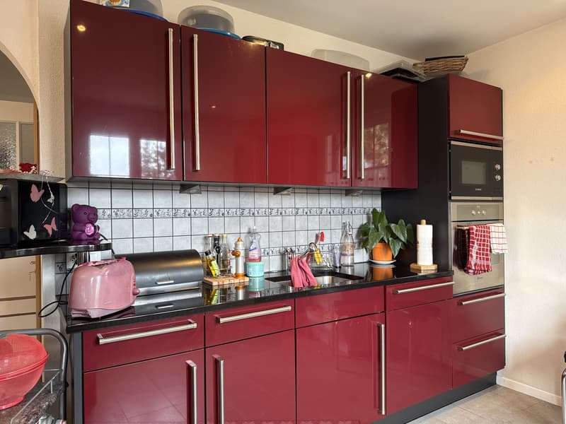 Charmante maison de deux appartements avec jardin (3)