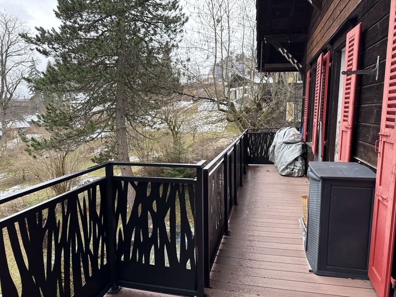 Charmante maison de deux appartements avec jardin (4)
