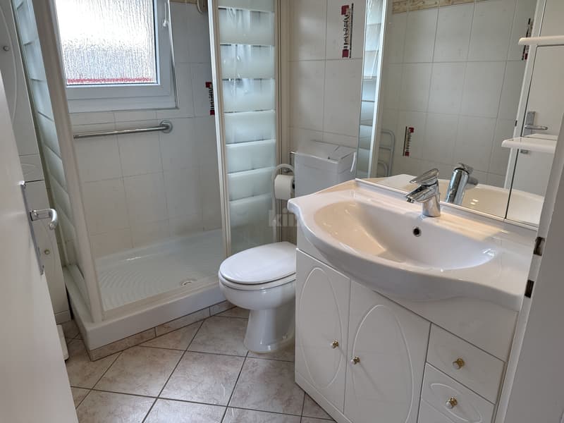 Bel appartement de 2 pièces (4)