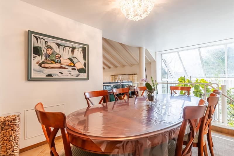 Spacieuse maison d'architecte avec magnifique jardin (7)