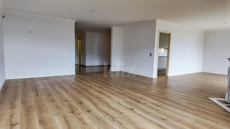 Splendide appartement avec vue panoramique sur le lac (4)