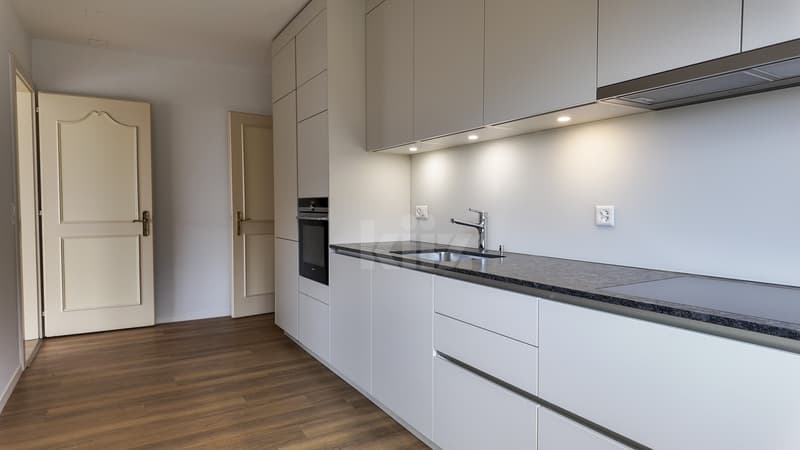 Splendide appartement avec vue panoramique sur le lac (5)