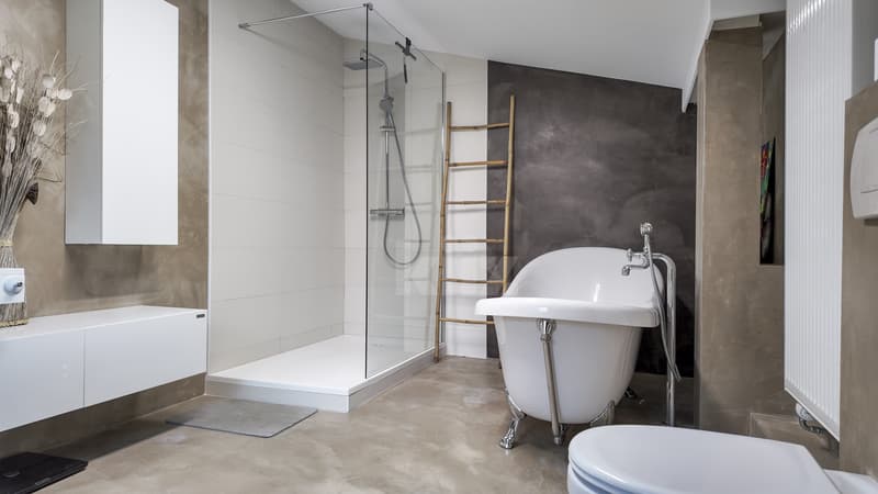 Magnifique maison individuelle avec piscine (7)
