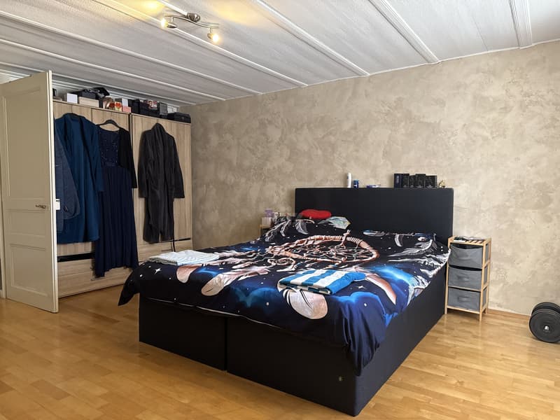 Charmante maison de deux logements (9)