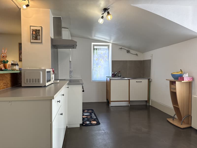 Charmante maison de deux logements (2)