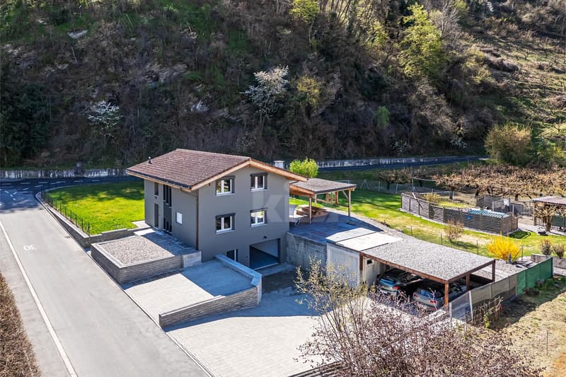 Belle maison familiale rénovée avec grand jardin (12)