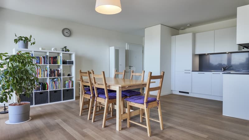 Superbe appartement contemporain avec loggia et vue dégagée (5)