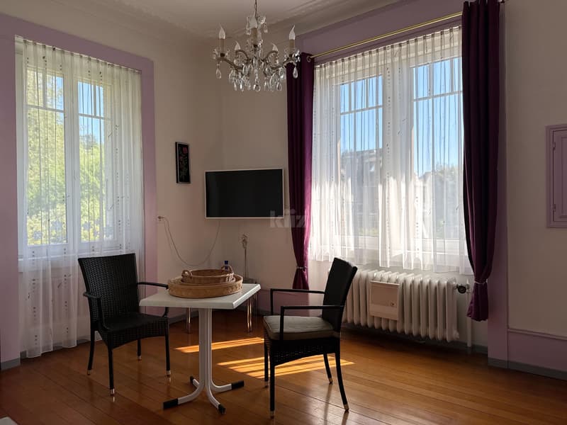Bel appartement avec jardin dans une maison de maître (10)