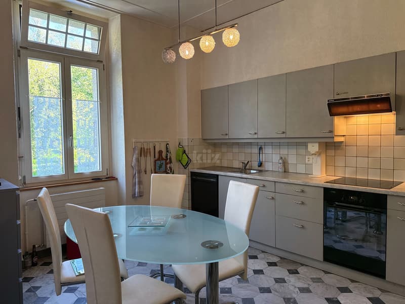 Bel appartement avec jardin dans une maison de maître (4)